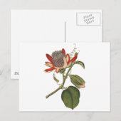  Passie-ventilator Briefkaart (Voorkant / Achterkant)