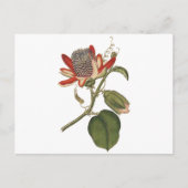 Passie-ventilator Briefkaart (Voorkant)