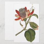  Passie-ventilator Briefpapier (Voorkant / Achterkant)