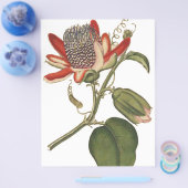  Passie-ventilator Flyer (Enkel)