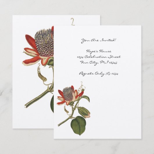  Passie-ventilator Kaart (Voorkant / Achterkant)