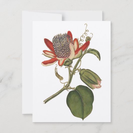  Passie-ventilator Kaart (Achterkant)