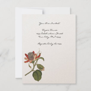  Passie-ventilator Kaart