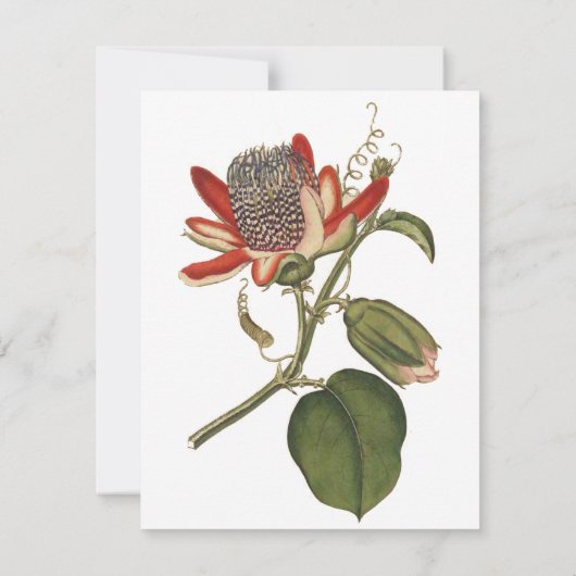  Passie-ventilator Kaart (Achterkant)