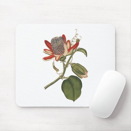  Passie-ventilator Muismat (Met muis)