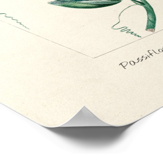 Passie-ventilator Poster (Hoek)