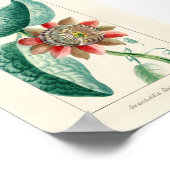 Passie-ventilator Poster (Hoek)