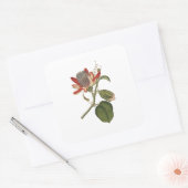  Passie-ventilator Vierkante Sticker (Envelop)