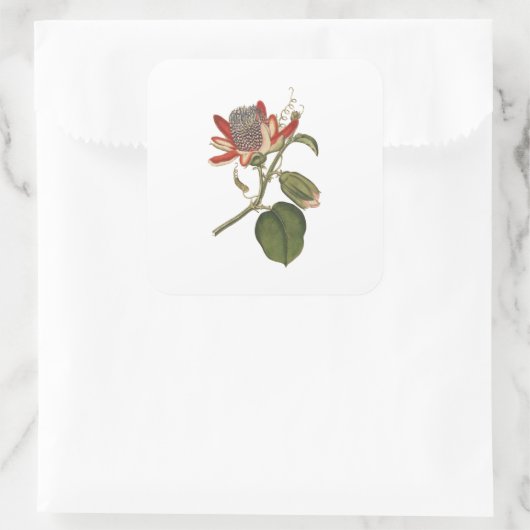  Passie-ventilator Vierkante Sticker (Tas)