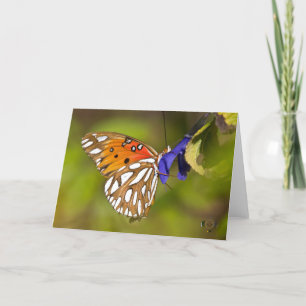 Passie Vlinder Knuffel Lee Hiller Fotografie Kaart