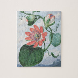 Passiebloem (1799) van Sydenham Teak Edwards. Legpuzzel