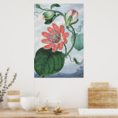 Passiebloem (1799) van Sydenham Teak Edwards. Poster (Keuken)