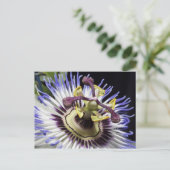 Passiebloem close-up (MR) Briefkaart (Staand voorkant)