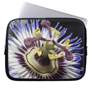 Passiebloem close-up (MR) Laptop Sleeve