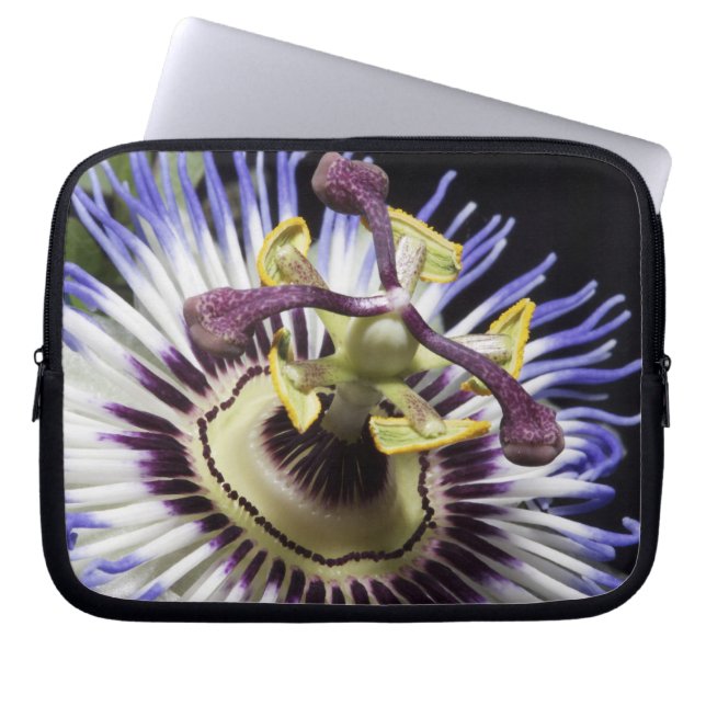 Passiebloem close-up (MR) Laptop Sleeve (Voorkant)