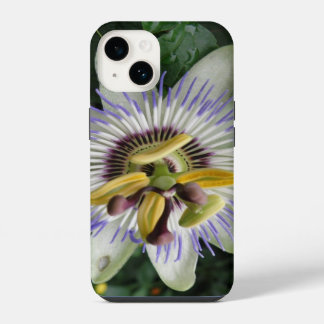 Passiebloem iPhone 14 Hoesje