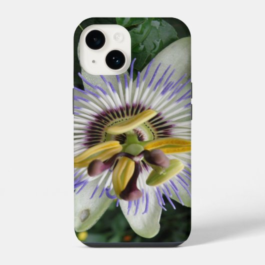 Passiebloem iPhone Hoesje (Achterkant)