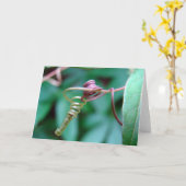 Passiebloem Kaart (Gele Bloem)