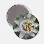 Passiebloem Magneet (Voorkant / Achterkant)