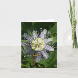 Passiebloem Note Kaart