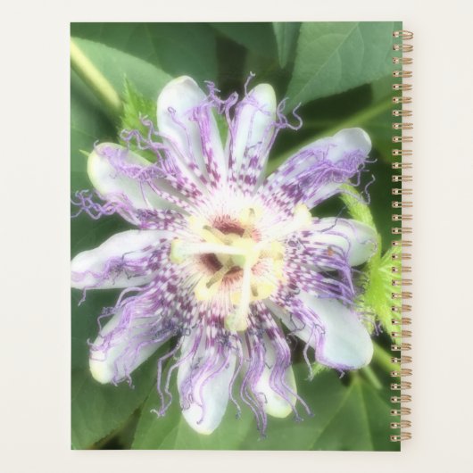 Passiebloem Planner (Achterkant)