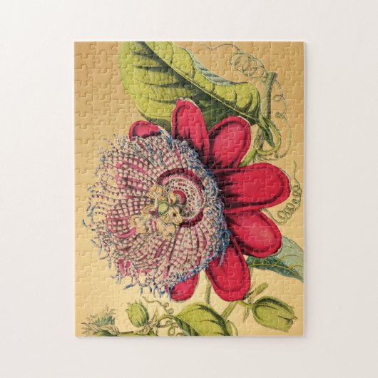 Passiebloem Rood Goud Illustratie Legpuzzel (Verticaal)