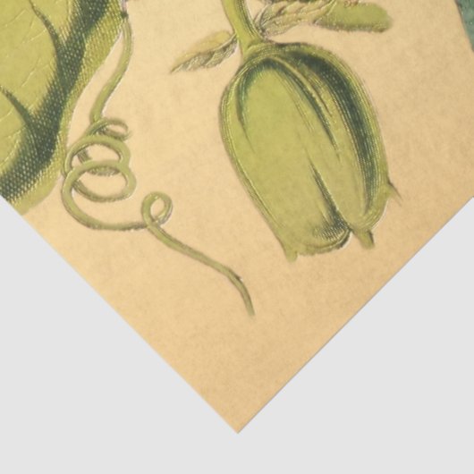 Passiebloem  Rood Goud Illustratie Tissuepapier (Detail)