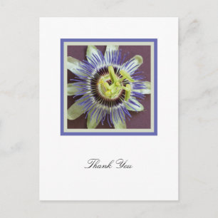 Passiebloem Sympathie Dank u Briefkaart