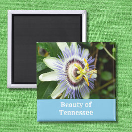 Passiebloem Tennessees Staatsbloem Magneet