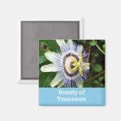 Passiebloem Tennessees Staatsbloem Magneet (Voorkant / Achterkant)