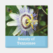 Passiebloem Tennessees Staatsbloem Magneet (Voorkant)
