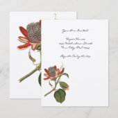 Passiebloem uit de oude doos kaart (Voorkant / Achterkant)