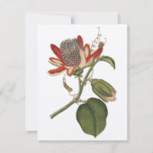 Passiebloem uit de oude doos kaart (Achterkant)