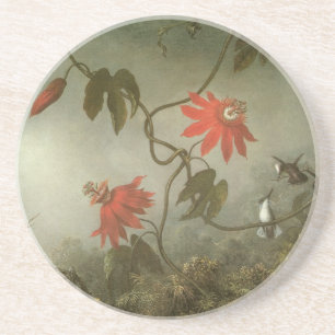 Passiebloemen en Kolibries door Martin J Heade Zandsteen Onderzetter