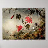 Passiebloemen met Kolibries Poster (Voorkant)