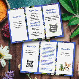 Passiebloemen Zakelijke Tweezijdige Brochure