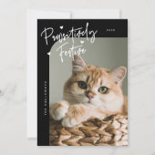Passief feestelijke kattenfoto Black Christmas Feestdagenkaart (Voorkant)