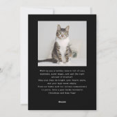 Passief feestelijke kattenfoto Black Christmas Feestdagenkaart (Achterkant)