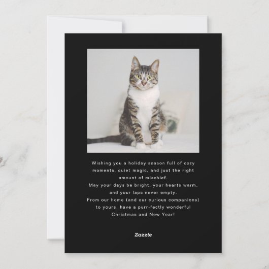 Passief feestelijke kattenfoto Black Christmas Feestdagenkaart (Achterkant)