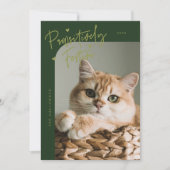 Passief Feestelijke Kattenfoto Groene Kerst Feestdagenkaart (Voorkant)