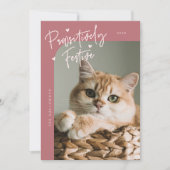 Passief feestelijke kattenfoto Roze Kerst Feestdagenkaart (Voorkant)