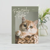 Passief feestelijke kattenfoto Sage Green Christma Feestdagenkaart (Staand voorkant)