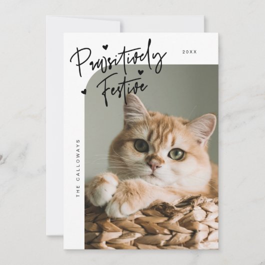 Passief feestelijke kattenfoto Witte kerst Feestdagenkaart (Voorkant)