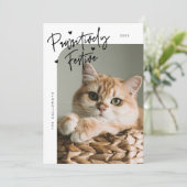 Passief feestelijke kattenfoto Witte kerst Feestdagenkaart (Staand voorkant)