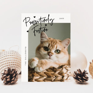 Passief feestelijke kattenfoto Witte kerst Feestdagenkaart