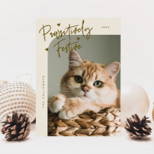 Passief feestelijke kattenfotocrème Kerstmis Feestdagenkaart