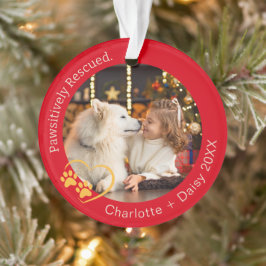 Passief geredde hond foto rood ornament