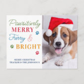 Passief Merry Furry & Bright Custom Pet Foto Feestdagenkaart (Voorkant)