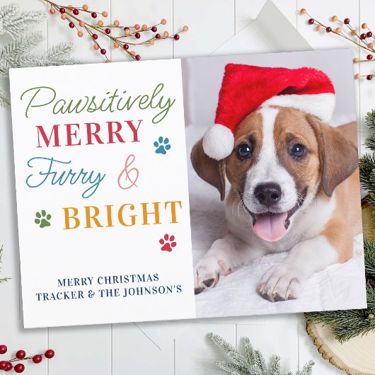 Passief Merry Furry & Bright Custom Pet Foto Feestdagenkaart