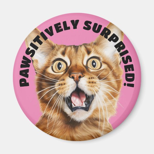 PASSIEF VERRAST! Grappige Crazy Cat Pink Magneet (Voorkant)